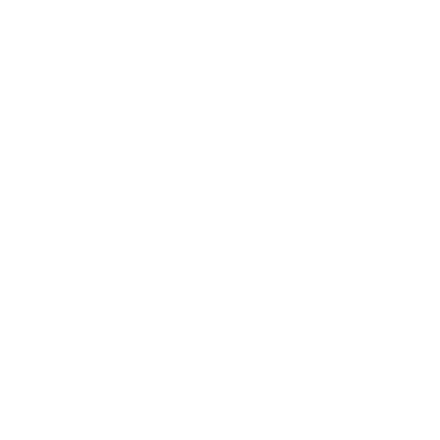South Carolina Commission For Community Advancement And Engagement, Advance SC Logo